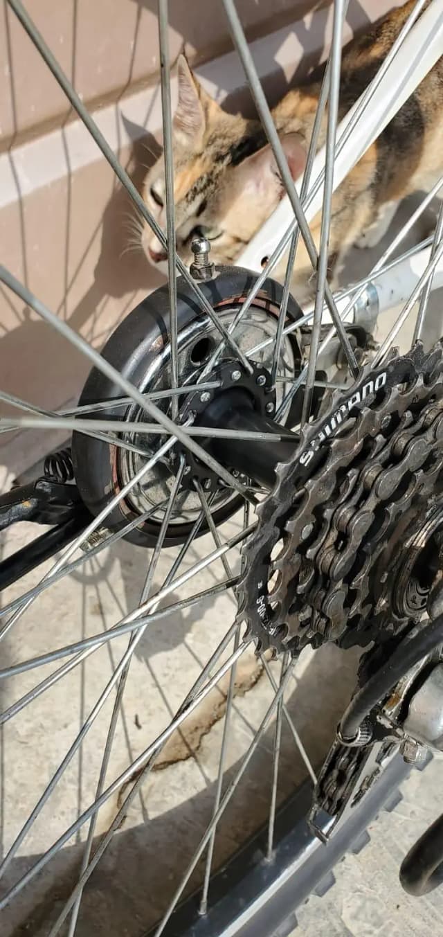 cycle
