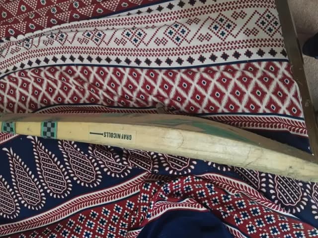 English willow cricket bat