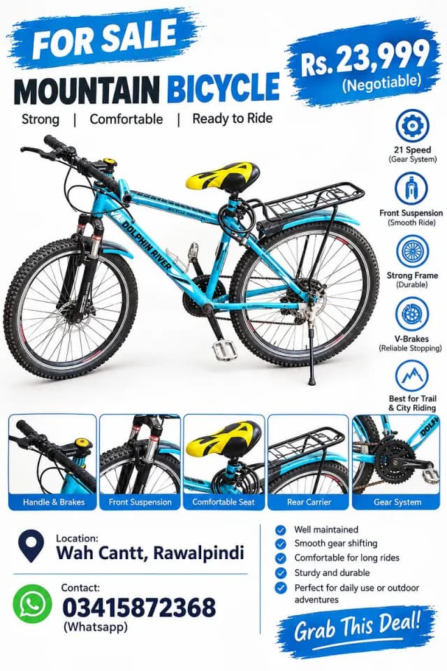 Dolphin River Mountain Bicycle – Excellent Condition
