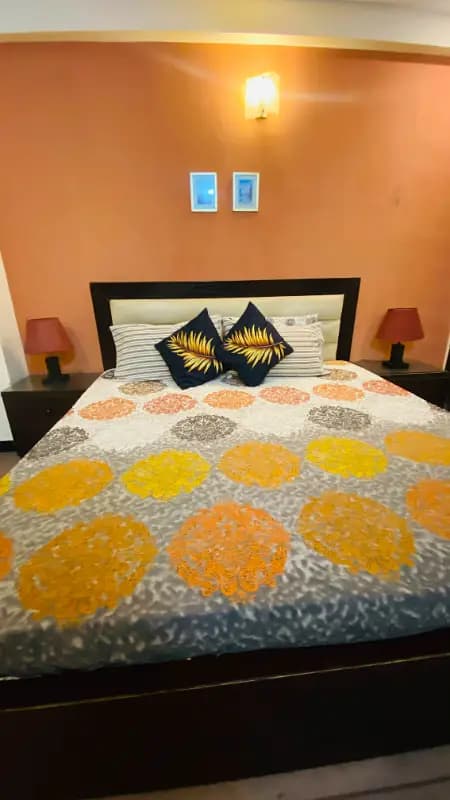 Daily basis furnished apartments available for rent in E11