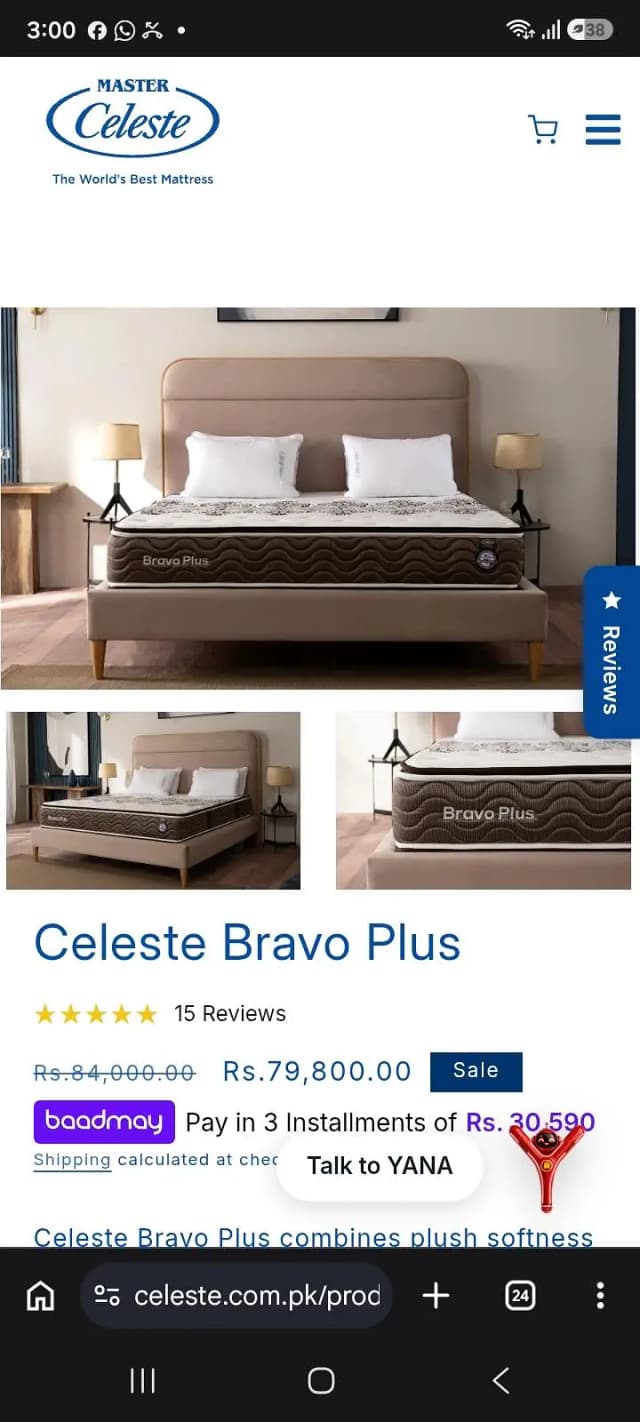 molty celeste bravo plus