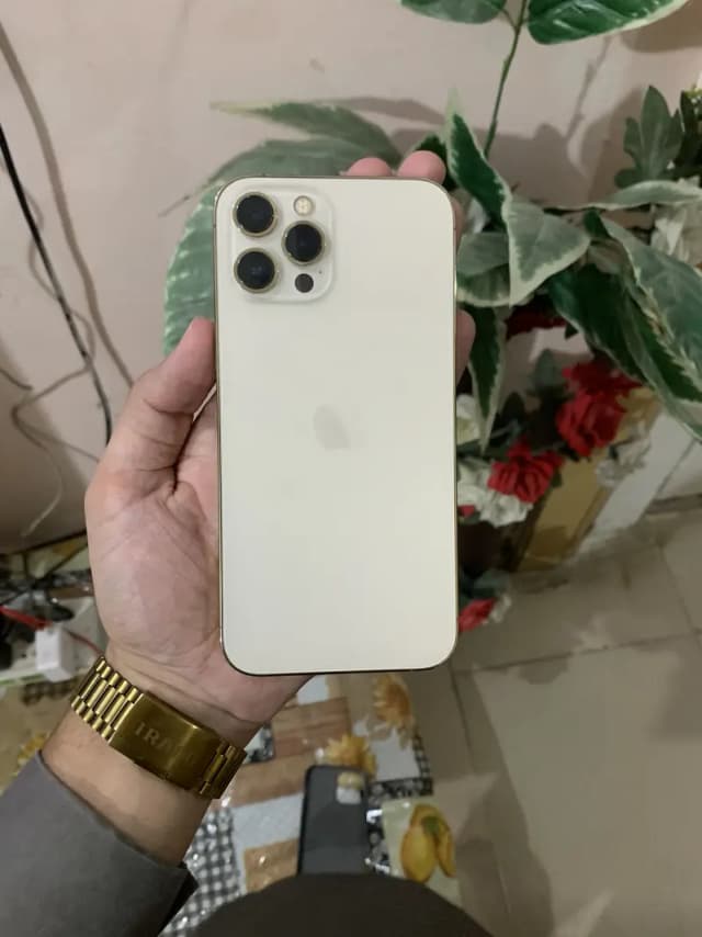 12 Pro Max Gold color dualPta approved 256 Gb water pack