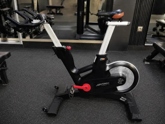 Original Life Fitness ICG Commercial Spin Bike | Exercise Bike | Cycle