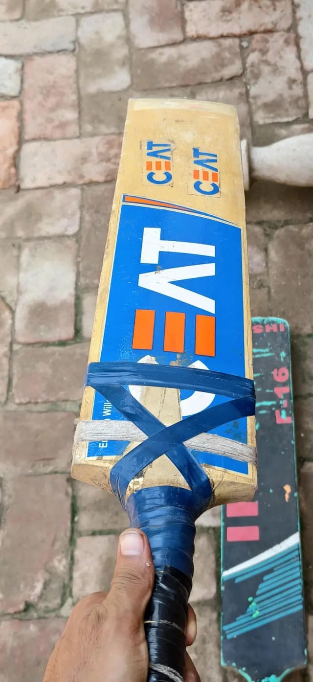 Bats for sale 2