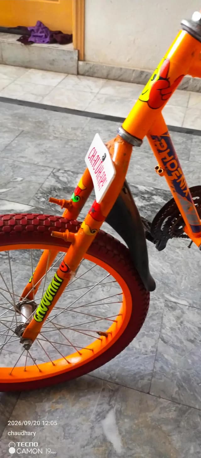 Phoenix cycle used