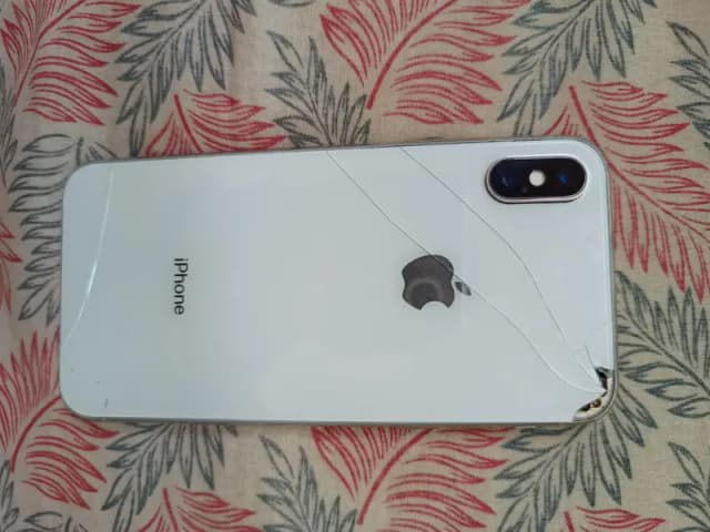 Apple iPhone X