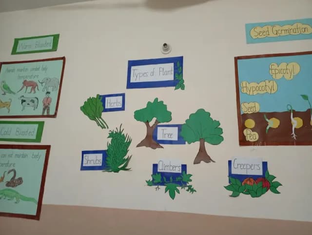 charts for school decorations