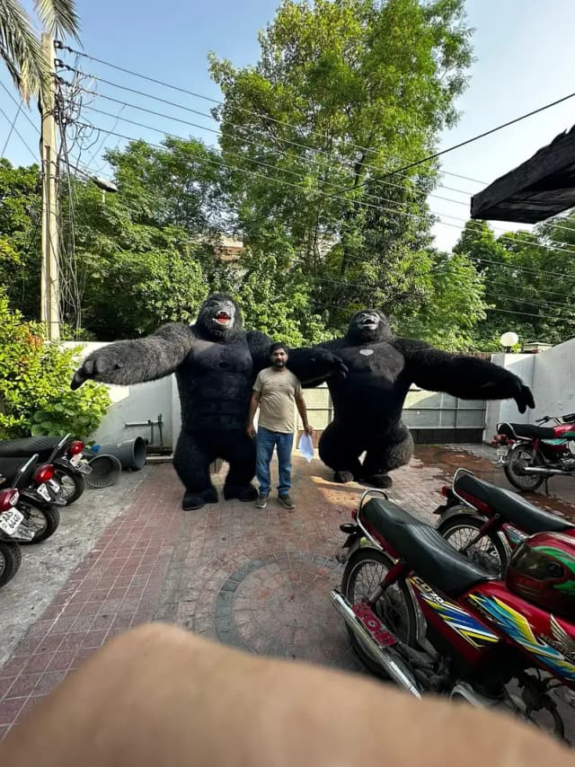 8.5ft Wala Gorrila Costume Hay