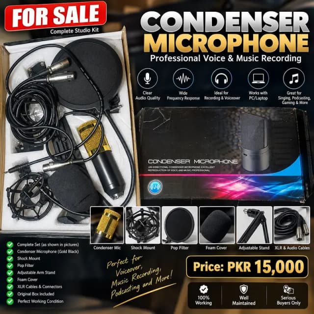 Professional Podcast Condenser Mic Voiceover