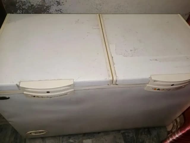D Freezer