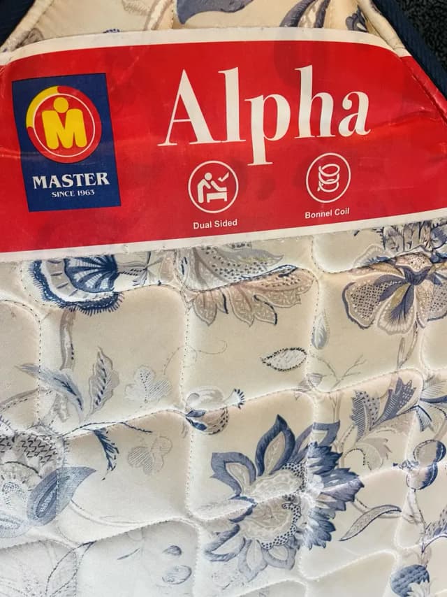 Master Molty Foam (Spring)