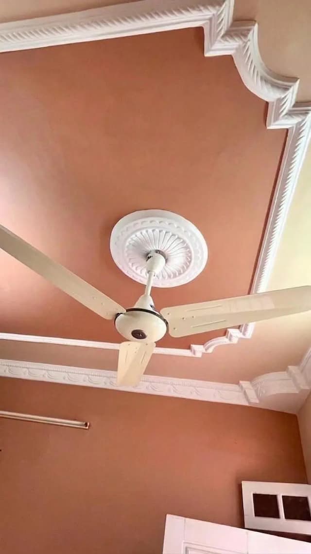 Selling 4 fans of Pak company