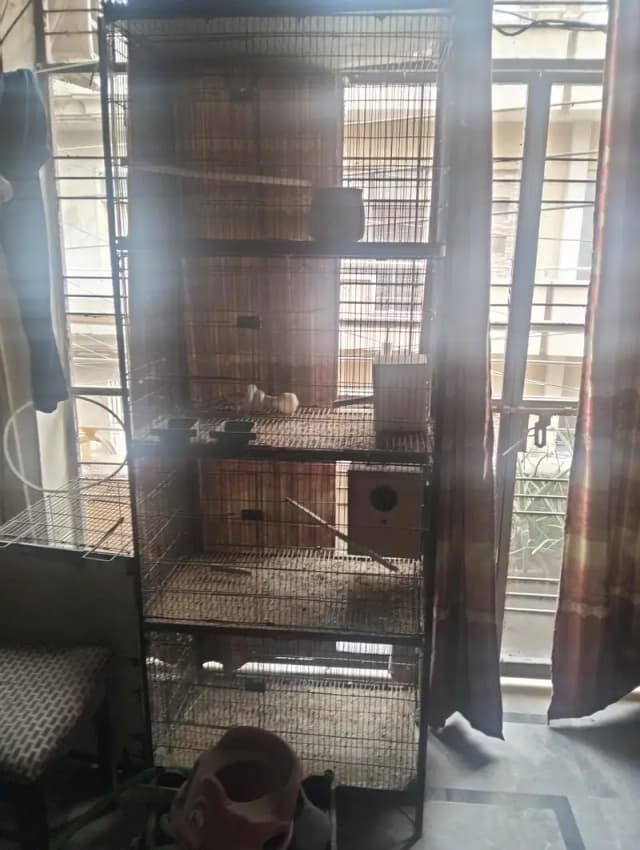cage for sale