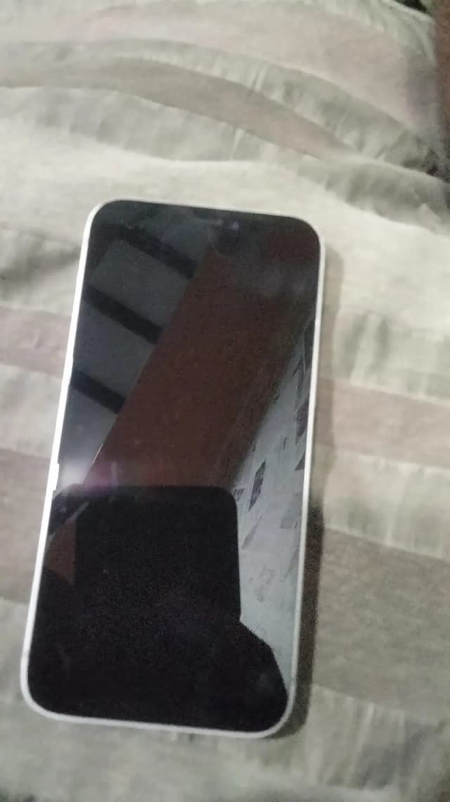 sim glitch all working