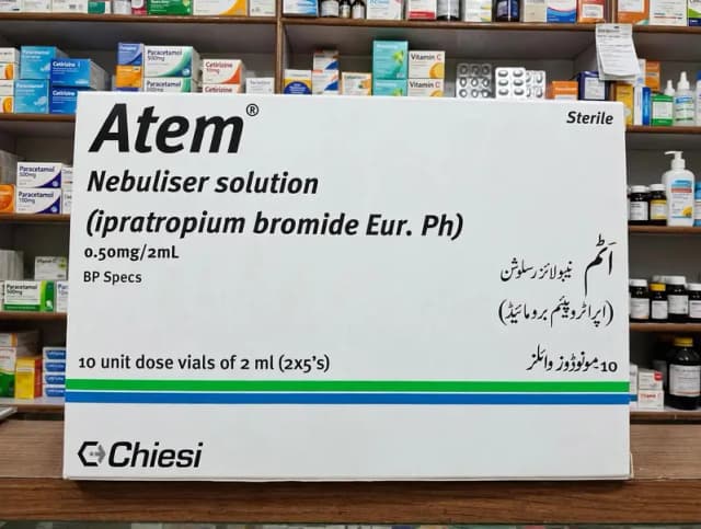 ATEM NEBULISER SOLUTION COMPANY PRICE READ DESCRIPTION