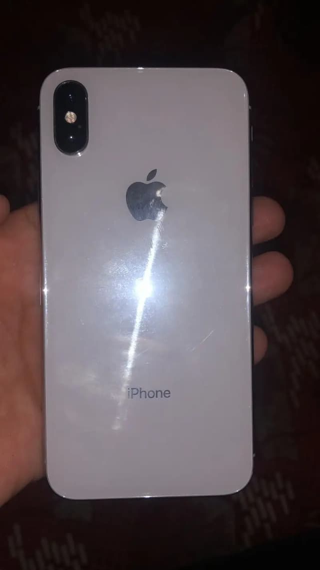 Apple iPhone X