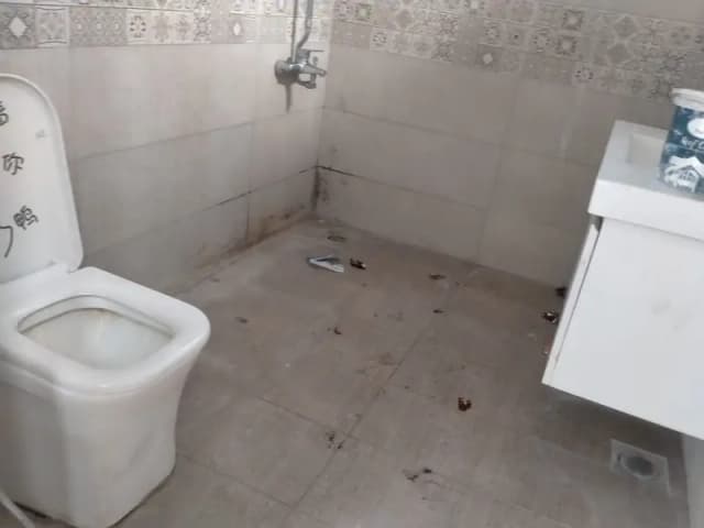 1 kanal in front of F10 markaz house available for rent.