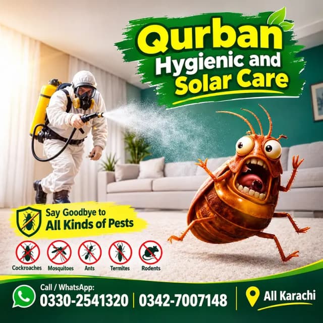 Pest Control Services | Termite, Cockroach, Bed Bug & Insect Treatme