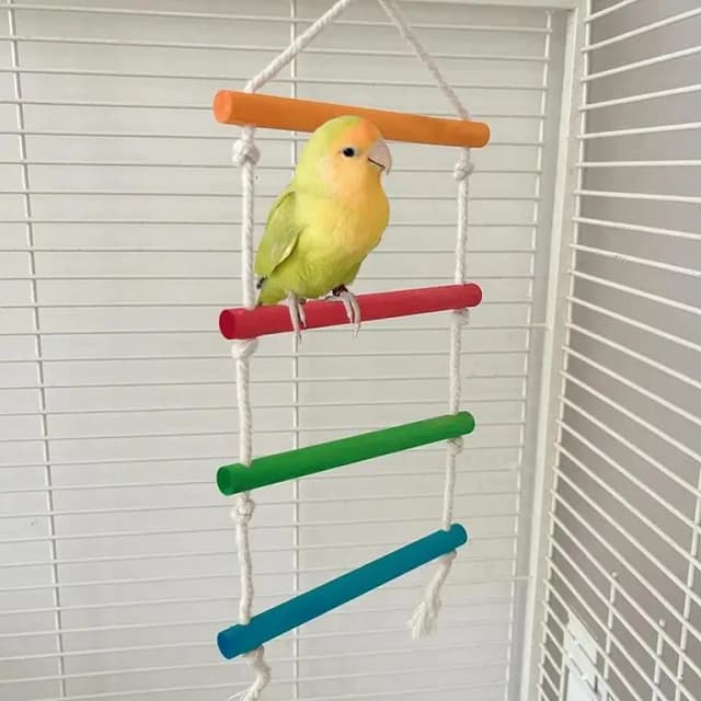 UK Bird Toys color full rope ladder natural wooden bird toys for raw grey macaw cockatail budgies fisher finch Interactive Enrichment Parrot Play Ladder Equipped with Wood Perches and Hanging