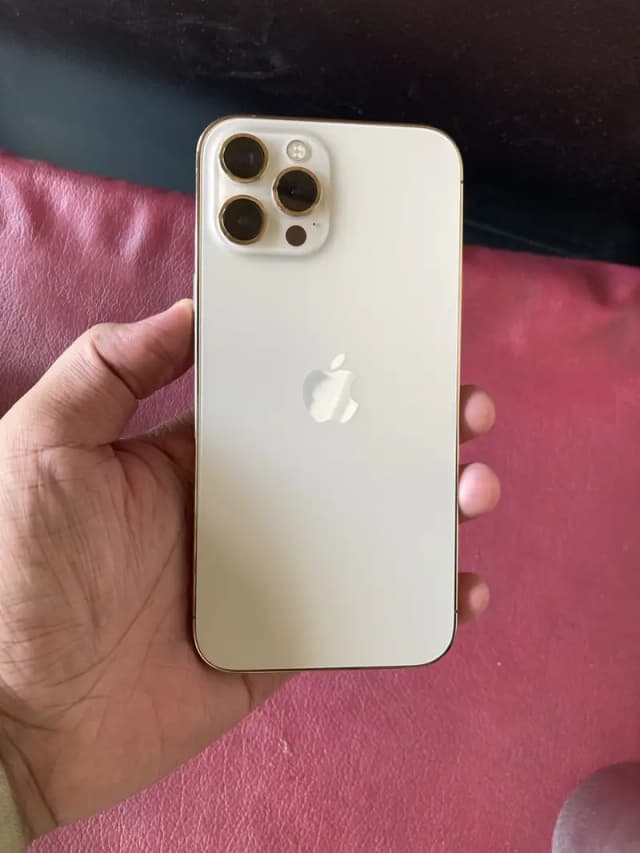 Apple iPhone 12 Pro Max