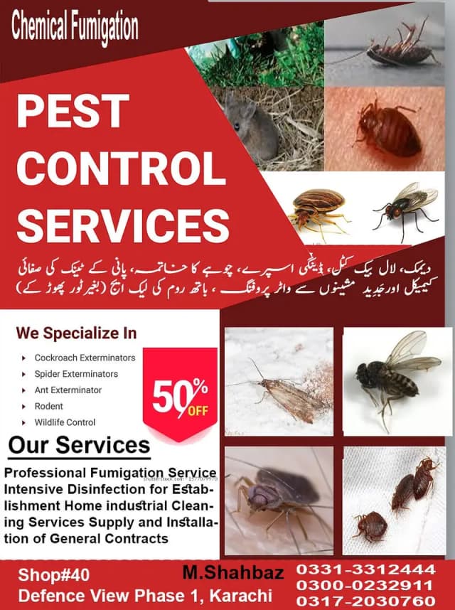 Pest Control/Termite Control/Deemak Control/Dengue Spray/Fumigation