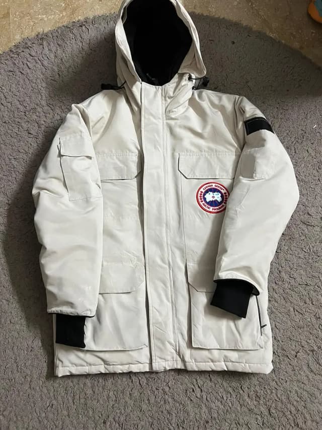 the Canada goose