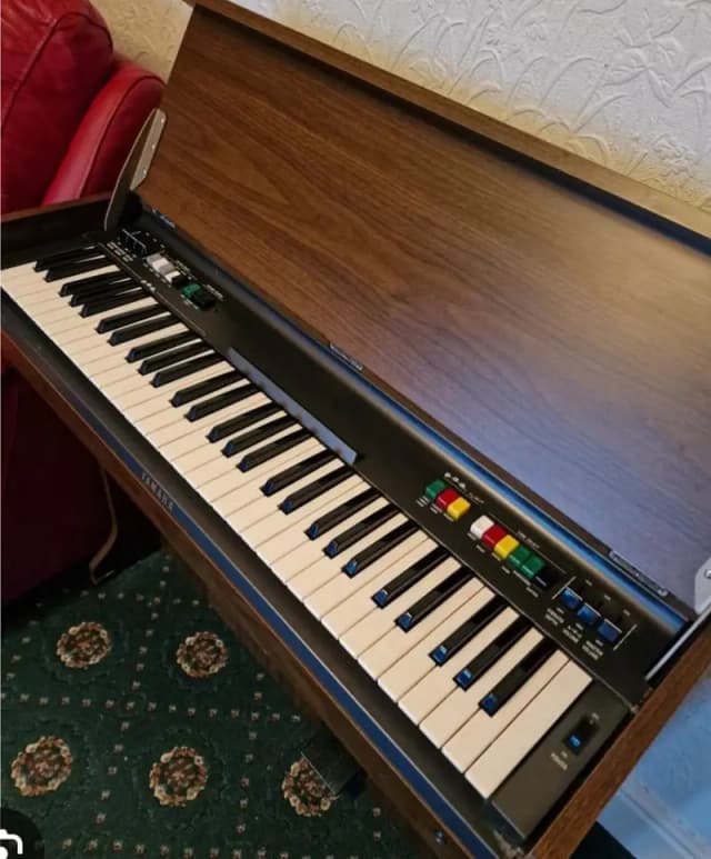 Part-Time Music Teacher Available for Schools & Home Tuition