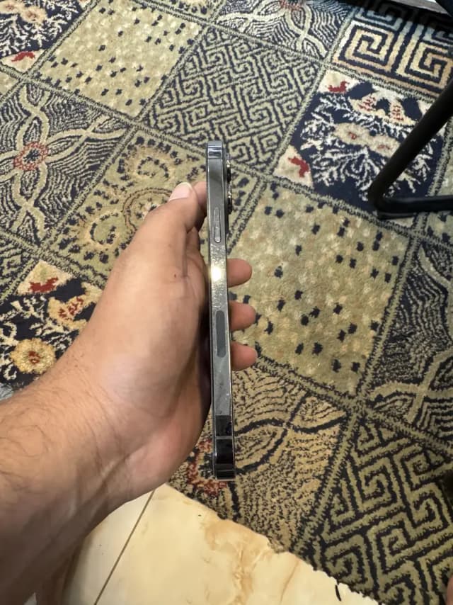 Apple iPhone 13 Pro Max