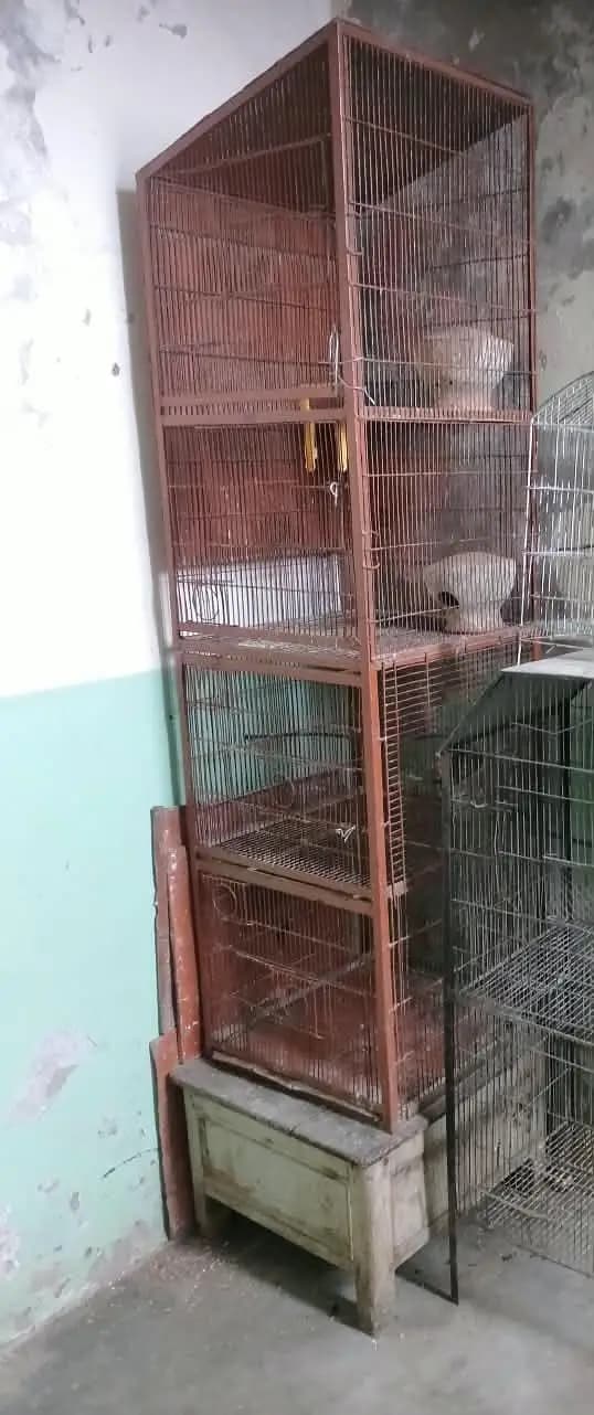big cage