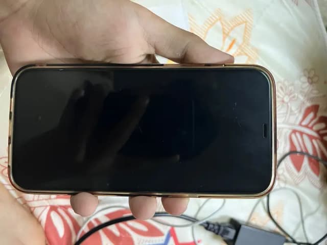 Apple iPhone 12 Pro Max