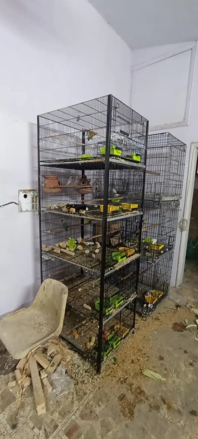 Heavy Duty Iron Cage for Sale – 5 Portion, Slightly Used | Karachi