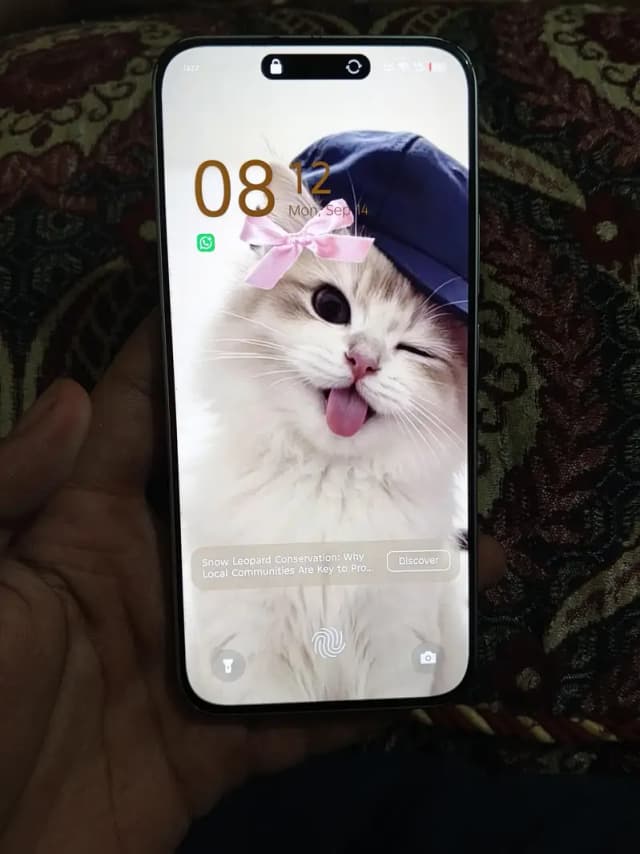 Infinix Other Model