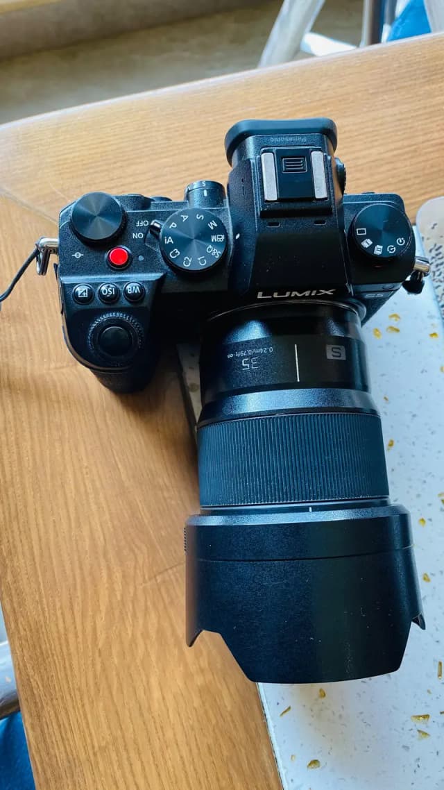 Panasonic Lumix S5 with 35mm f/1.8