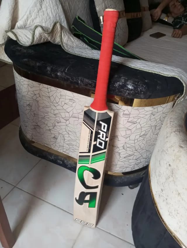CA pro 15000 English willow