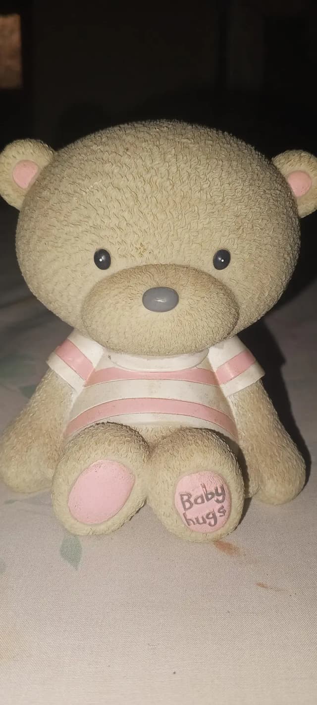 Cute Teddy Bear Money Box