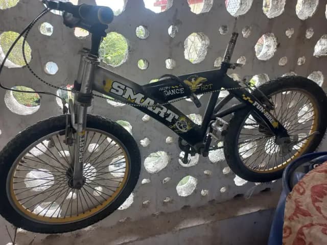 Smart Fun Bicycle simple