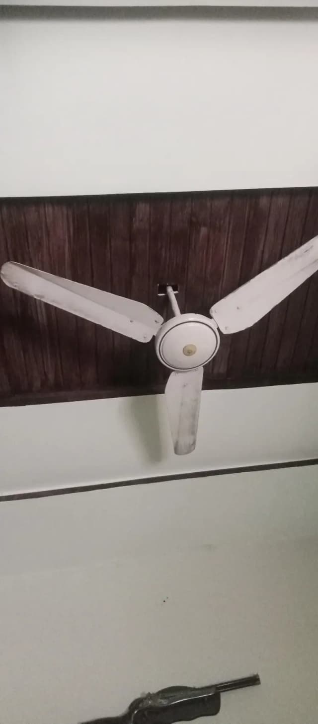fan for sale