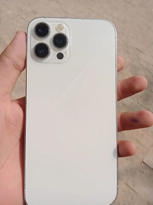 12 pro max