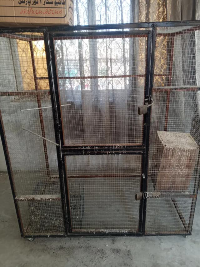 cage for sale