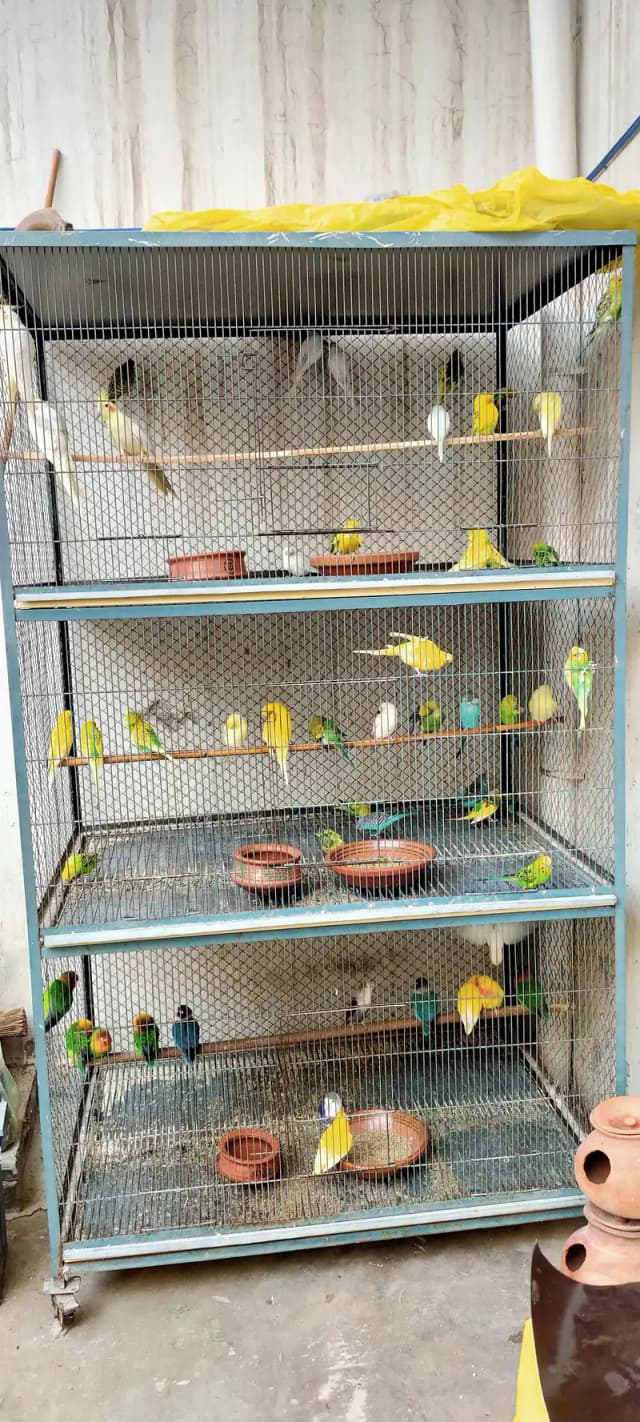 cage for sale urgent