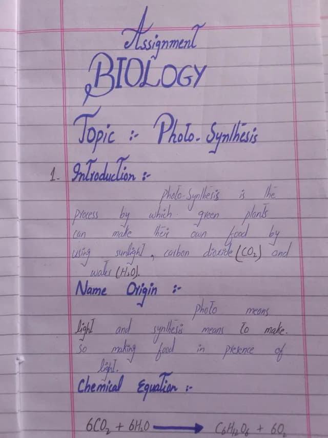 Handwritten assignment