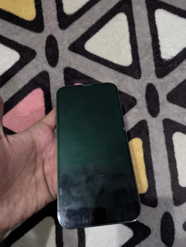 Apple iPhone 13 Pro Max PTA