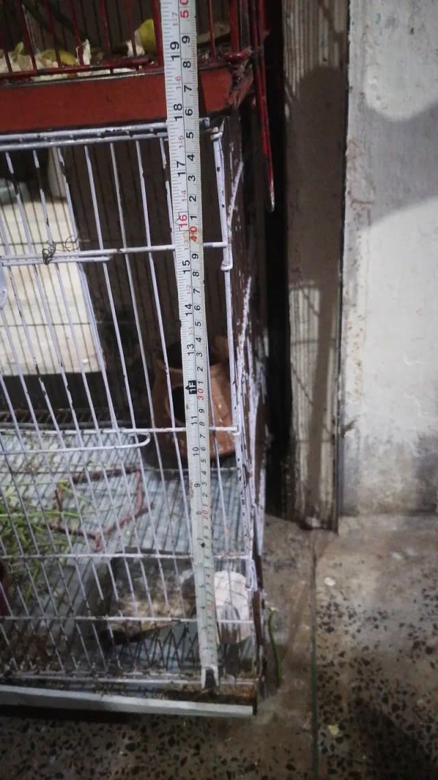 Cages For Sale