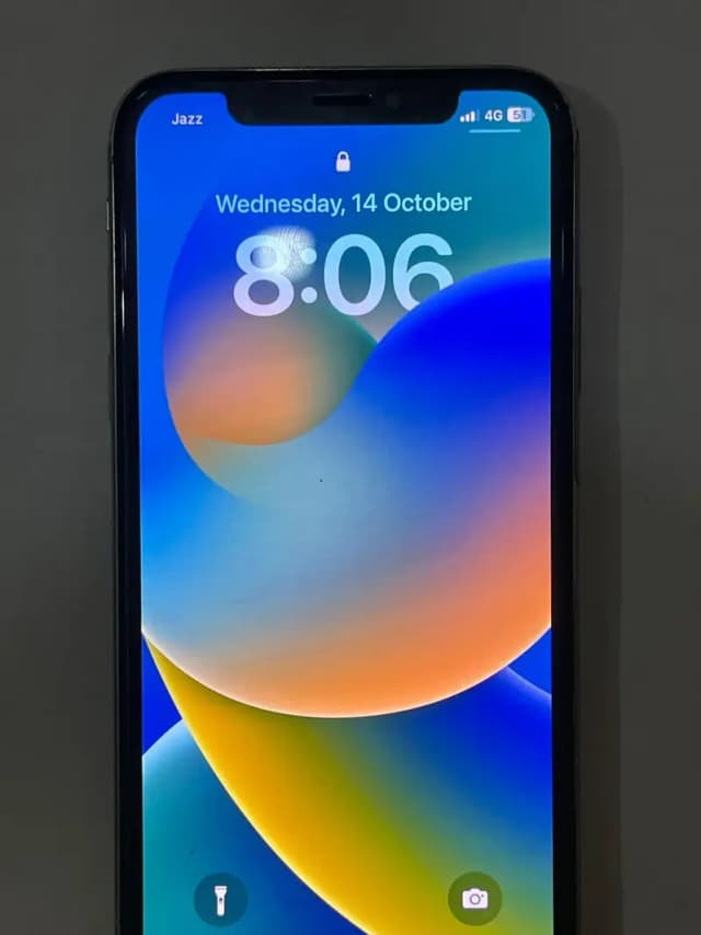 Apple iPhone X PTA Approved