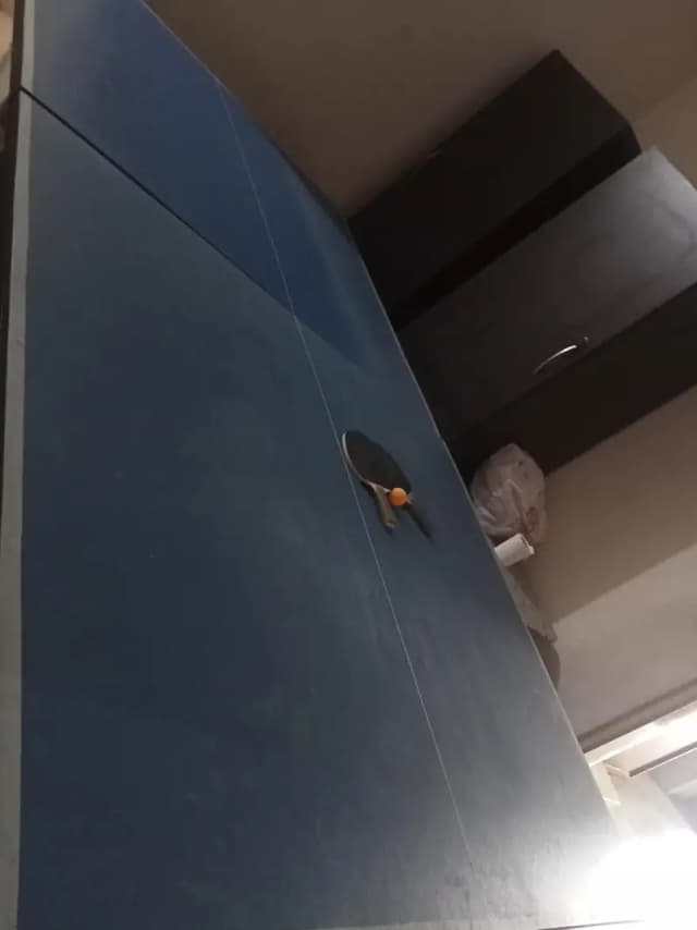 table tennis full size 9×5