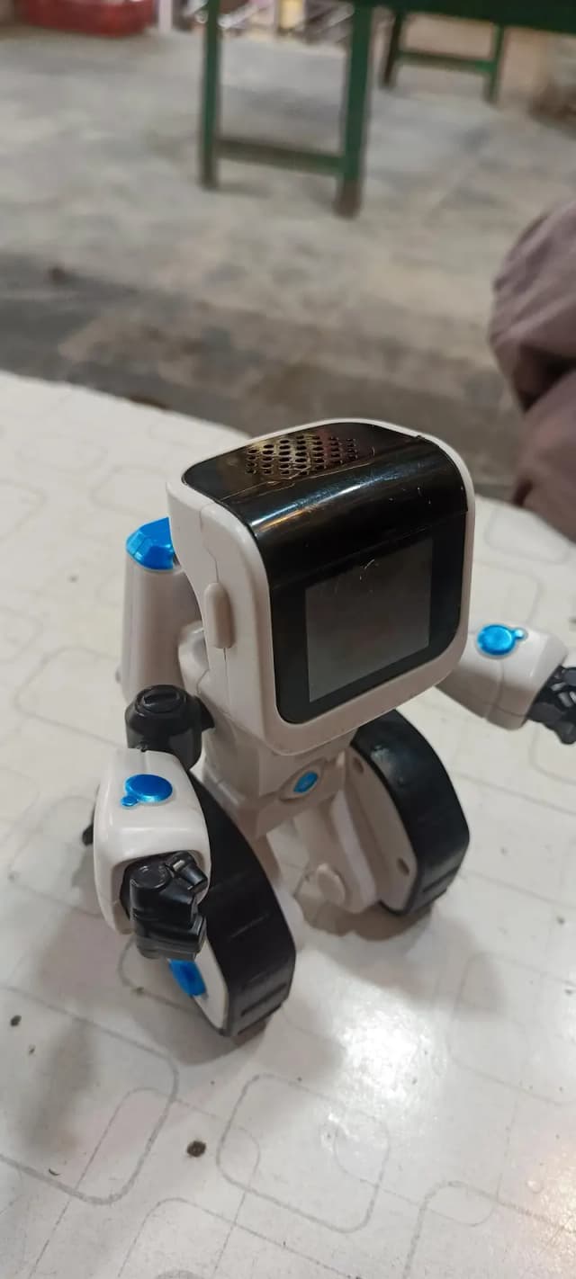 coji robot
