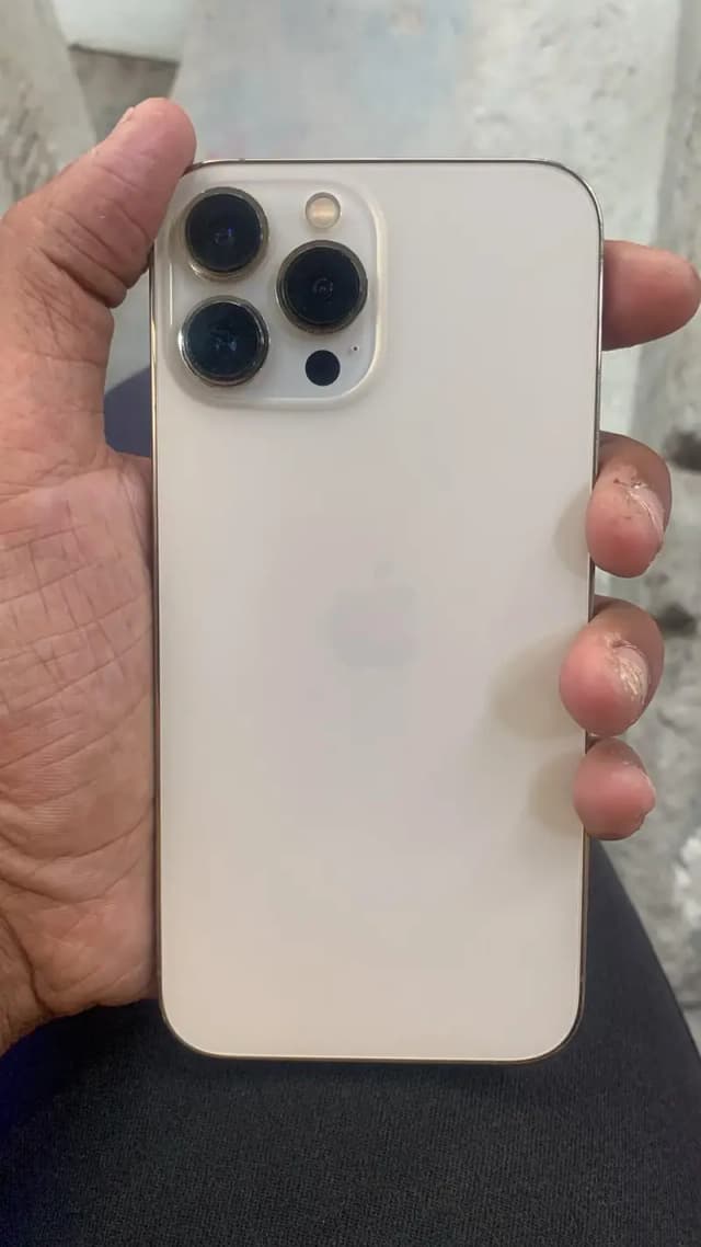 Apple iPhone 13 Pro Max