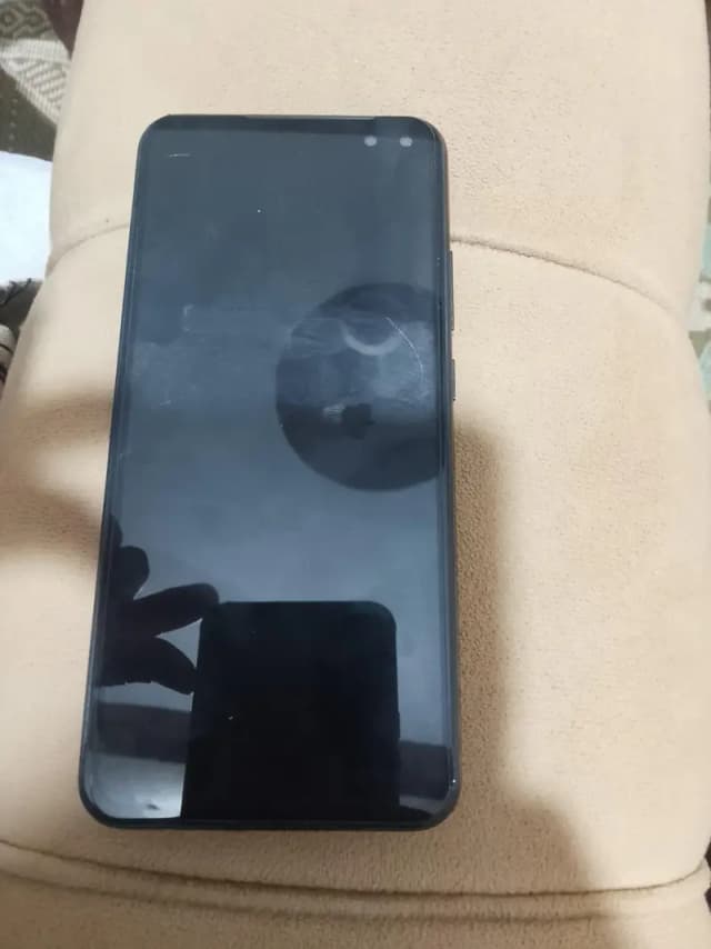 Vivo V19 mobile pta approved
