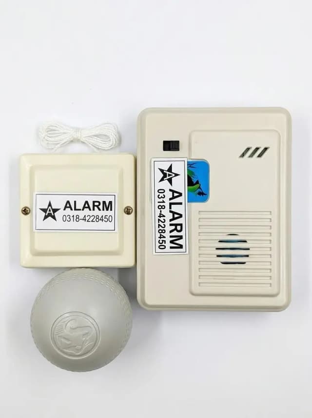 Overflow alarm system