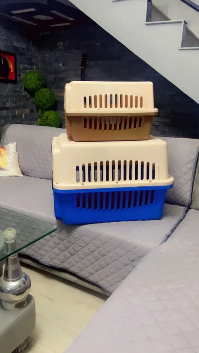 Cat cage or jet box